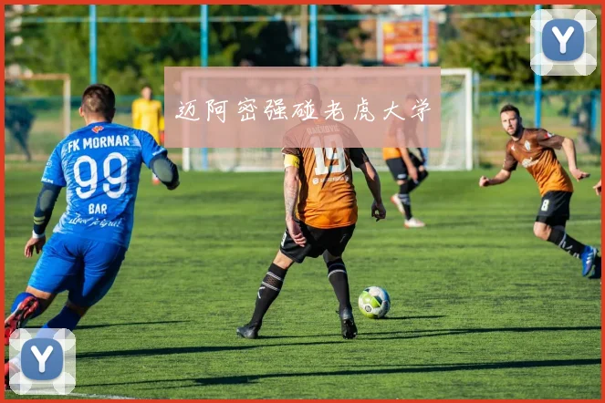迈阿密强碰老虎大学