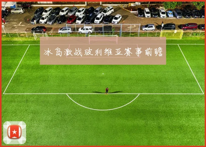 冰岛激战玻利维亚赛事前瞻