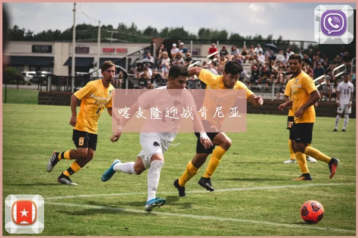 喀麦隆迎战肯尼亚