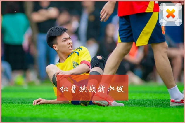 秘鲁挑战新加坡