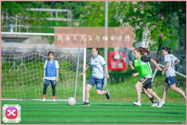斯洛文尼亚与缅甸会师