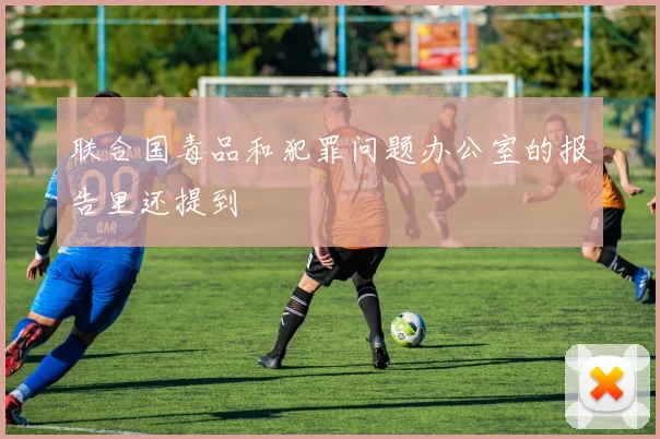 联合国毒品和犯罪问题办公室的报告里还提到