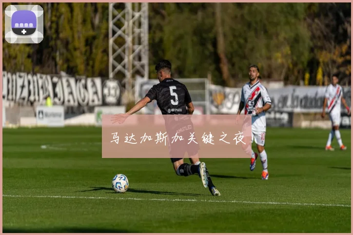 马达加斯加关键之夜