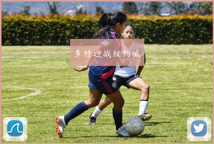 多特迎战纽约城