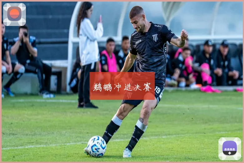鹈鹕冲进决赛