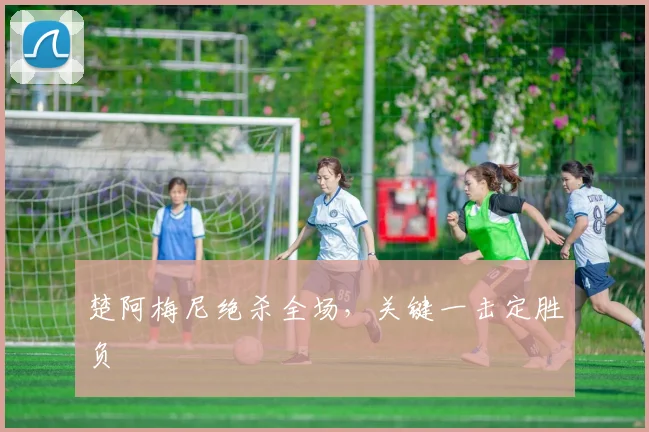 楚阿梅尼绝杀全场，关键一击定胜负