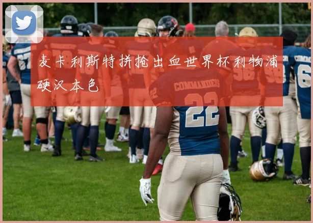 麦卡利斯特拼抢出血世界杯利物浦硬汉本色