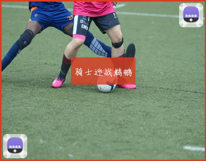 骑士迎战鹈鹕