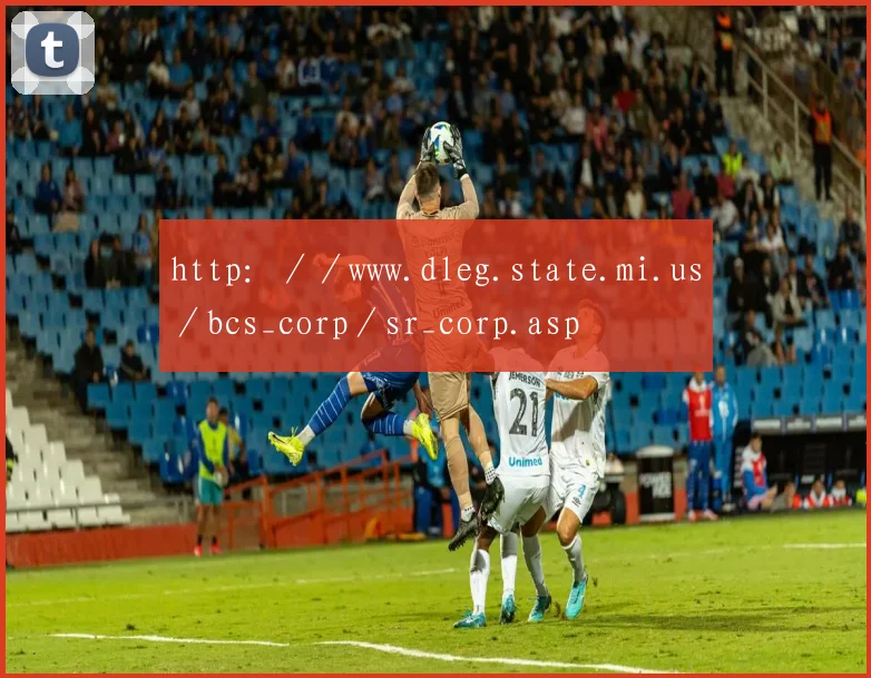 http：／／www.dleg.state.mi.us／bcs_corp／sr_corp.asp