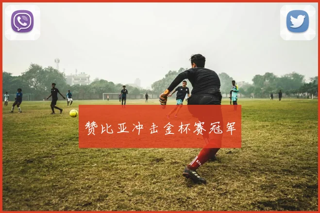 赞比亚冲击金杯赛冠军