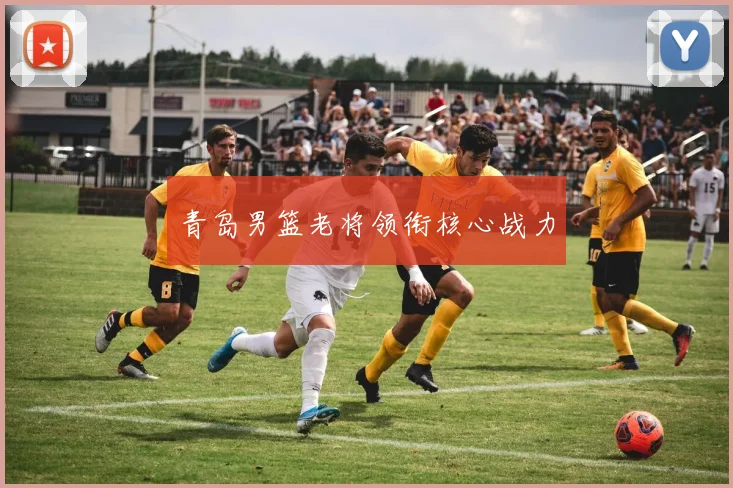 青岛男篮老将领衔核心战力