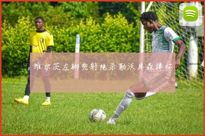 维尔茨左脚兜射绝杀勒沃库森捧杯