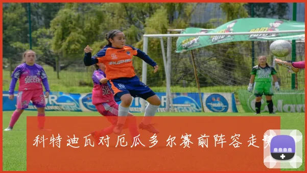 科特迪瓦对厄瓜多尔赛前阵容走势