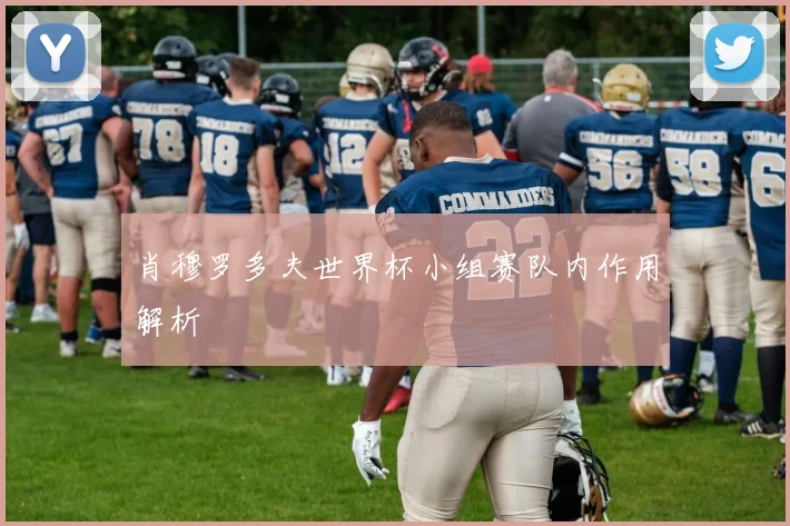肖穆罗多夫世界杯小组赛队内作用解析