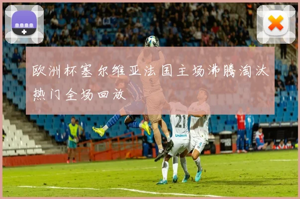 欧洲杯塞尔维亚法国主场沸腾淘汰热门全场回放