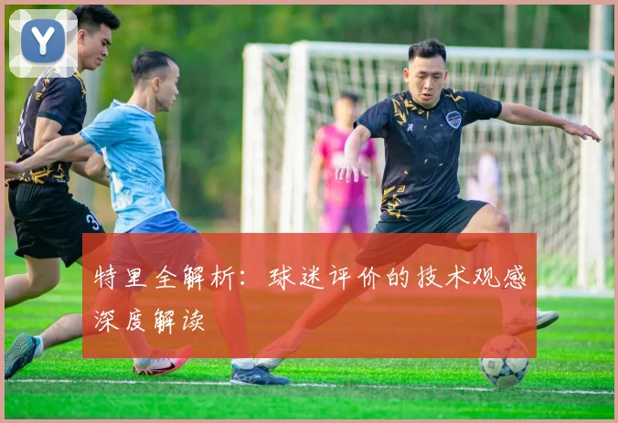 特里全解析：球迷评价的技术观感深度解读