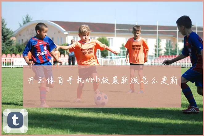 开云体育手机web版最新版怎么更新